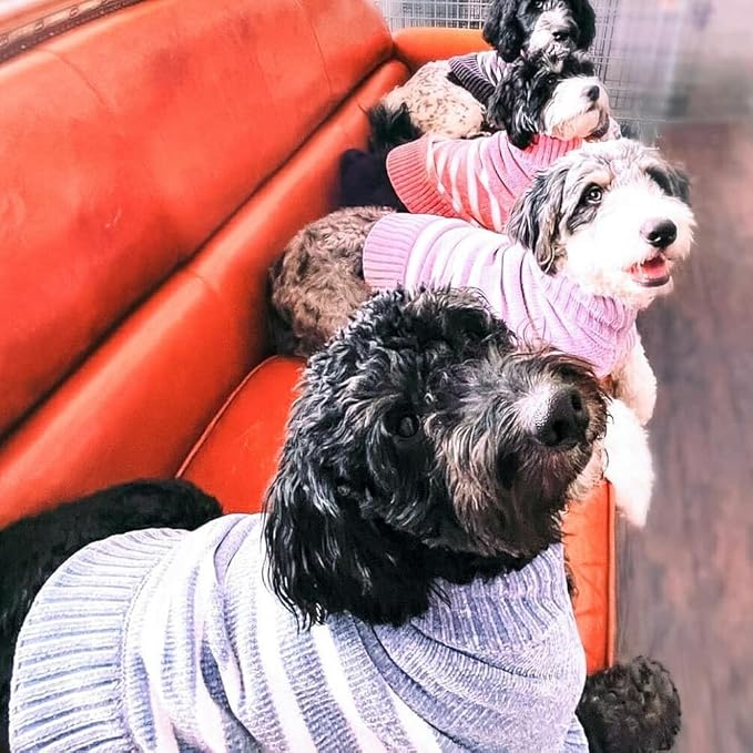 Blueberry Pet Cozy Soft Chenille Classy Striped Dog Sweater in Lavender Frost, Back Length 20", Pack of 1 Clothes for Dogs