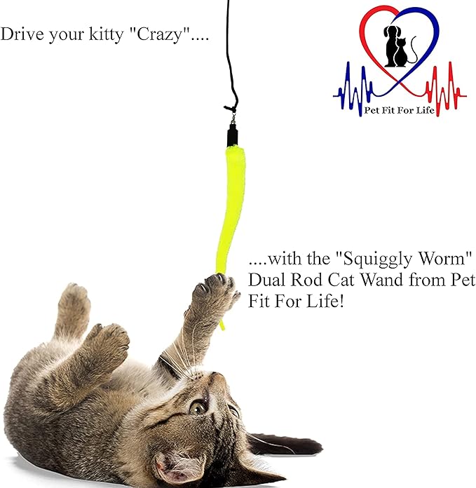 PET FIT for Life 5 PIECE SQUIGGLY Worm Wand CAT Toy