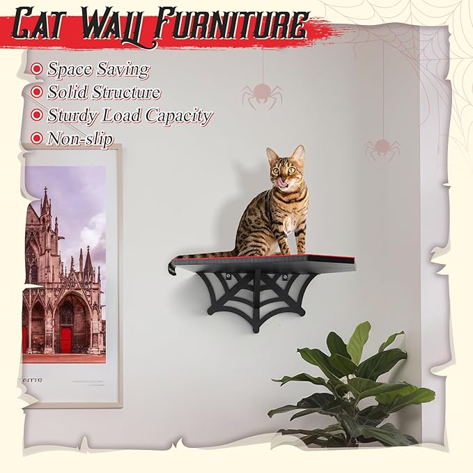 Gemscream Gothic Wall Mounted Halloween Shelf Coffin Spider Web Style Cat Tree Wall Load Bearing up to 30 Lbs/ 14 kg Black Cat for Indoor
