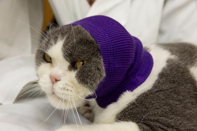 Cat Ear Wrap Safe & Sound Noise Reduction Calming Anti-Anxiety Ear Cover Neck Gaiter Purple S