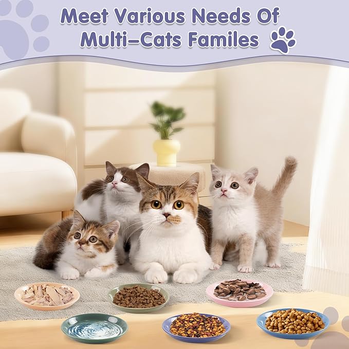 6 Pack Cat Food Bowl, Ceramic Cat Bowls, Anti Whisker Fatigue Cats Bowl Set,5.5 Inches Shallow Wide Kitten Plates for Food and Water (CaiSe-B)