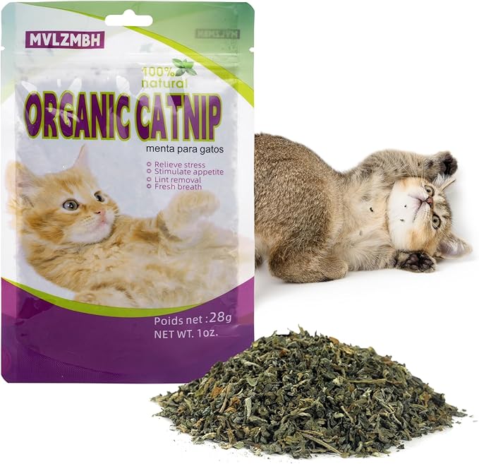 Organic 100% Natural Catnip Cattle Grass Mint Taste Funny Cat Toy New Cat Toy Interactive Cat Toys Pet Supplies