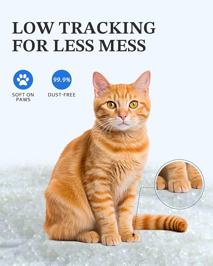 LMJP Crystal Cat Litter with Powerful Odor Control, Non-Clumping, Lasts Up to 2 Months, 8.6lb, Rapid Water Absorption, Unscented & Low Tracking Lightweight White Silica, 2 Pack of 4.3lb