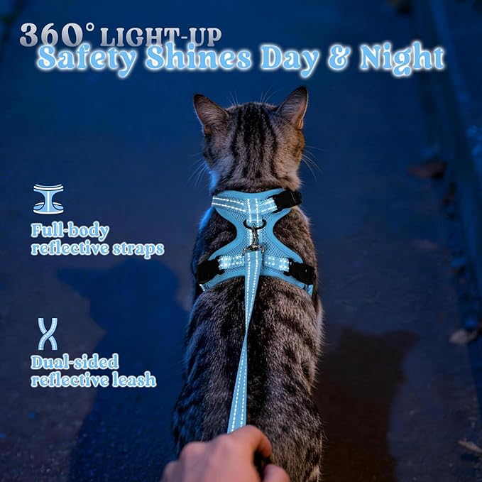 rabbitgoo Cat Harness and Leash, Escape Proof Vest with 3 Adjustable Buckles, Soft Comfortable Kitten Harness, Easy to Wear, Reflective for Safe Outdoor Walking, Small, Sky Blue