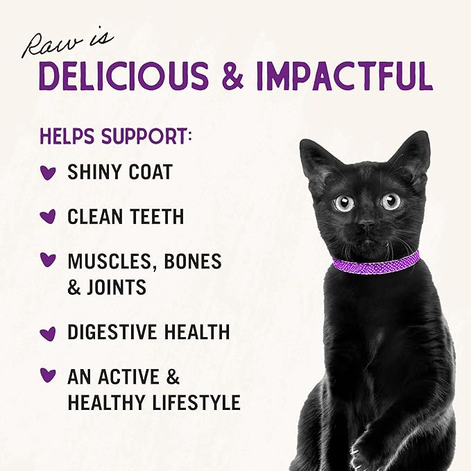 Stella & Chewy's Freeze-Dried Raw Cat Dinner Morsels - Premium Chicken Recipe with 98% Cage-Free Meat & Organs - Natural Grain-Free Cat & Kitten Food - Made in USA - 1 oz (Pack of 6)