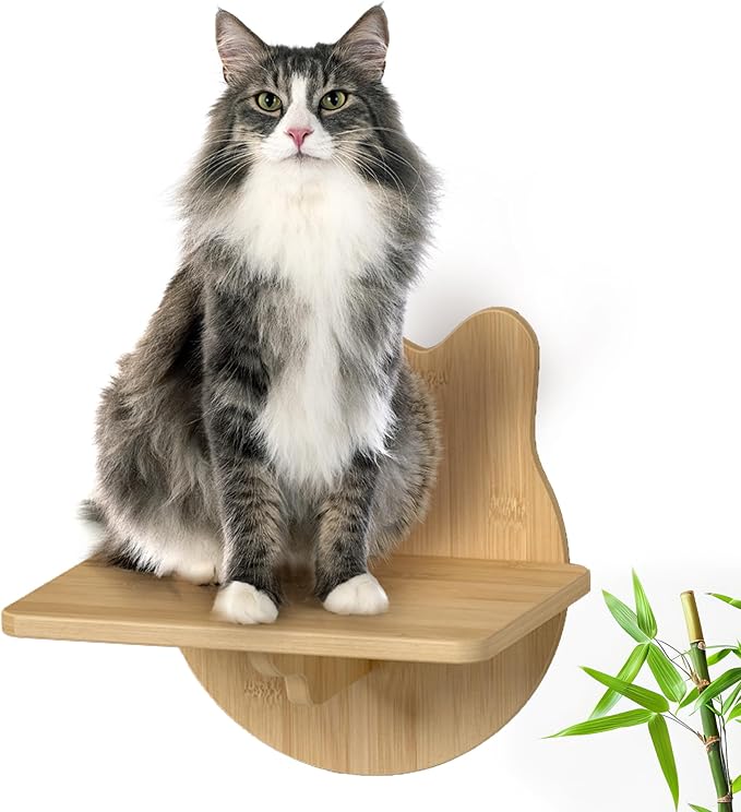 Cat Wall Shelves Furniture for Climbing - Cat House Wall Mounted - Indoor Wooden Floating Furniture - Different Models Including Shelves, Perches, Hammock, Bed, Bridges, Walkways
