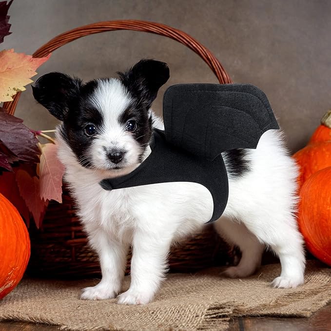 RYPET Dog Halloween Costume - Halloween Bat Wings Pet Costumes for Dogs Cats Halloween Party Medium