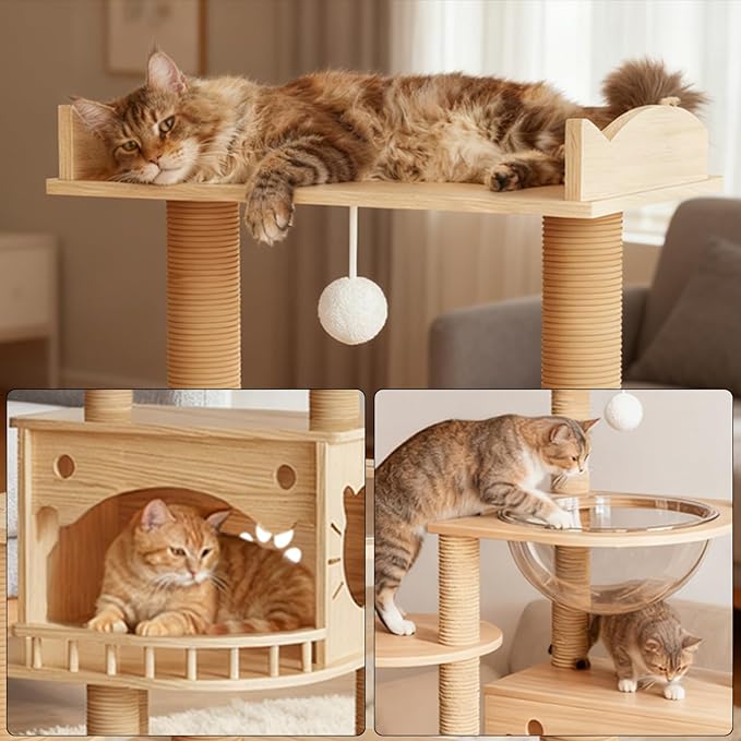 KVIDA Solid Pine Wood Cat Tree for Indoor Cats, 56.7” Tall Modern Cat Tower with Clear Acrylic Hammock & Condo House, Heavy Duty Wooden Cat Tree for Large Cats with Sisal Scratching Posts
