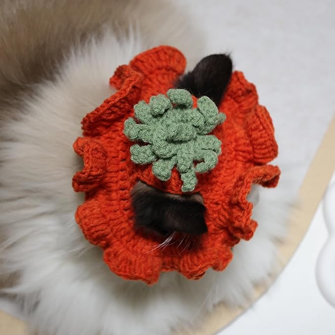 Cute Carrot Cat Hat Crochet Collar, Birthday Party Kitten Costume for Puppy, Pet and Small Animals(Red, Small)