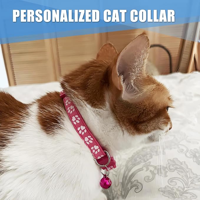 Personalized Cat Collar - 2 Pack Breakaway Reflective Adjustable Collars with Bell & Name Tag for Boy & Girl Kittens,Customized Engraved Nameplate Pet Tag for Cat Collar(Teal)