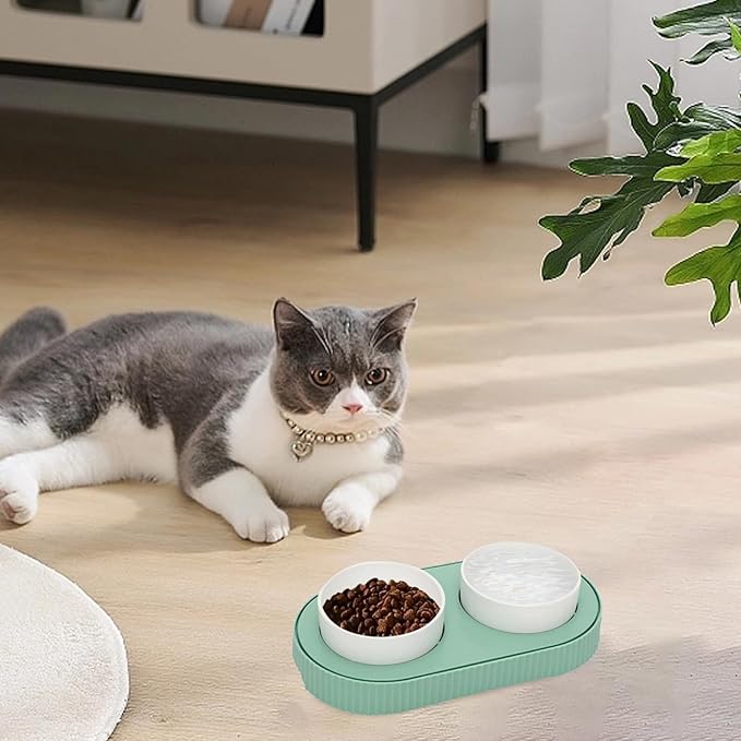 Heated Cat Bowl,Thermostatic Raised Cat Bowl, Double Cat Food Bowls, USB Heated Dog Bowl Ceramic Cat Water Bowl for Feral Cat Feeding Station Provide Non Freezing Water in Winter