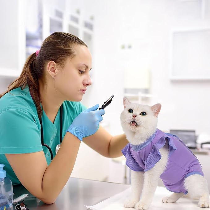 Avont Cat Recovery Suit - Post-Surgery Onesie for Cats, Alternative to Cone of Shame, Protective Spay Suit for Female Kitten, Ideal for Healing and Skin Conditions -Purple(M)