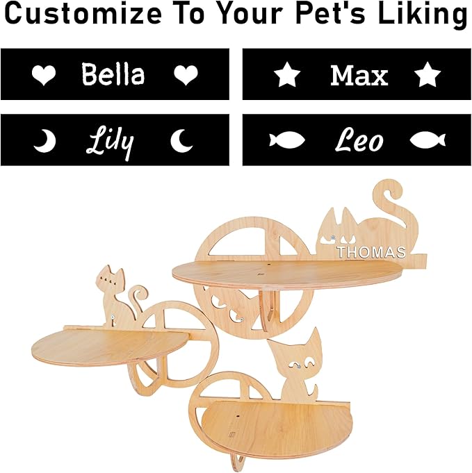 Personalized Wood Cat Shelf Set 3, 3 Bubbles Shelves Wall Mounted, Custom Cat Name Wood Cat Shape Shelves Toy, Wooden Furniture Perch for Sleeping Playing Scratching