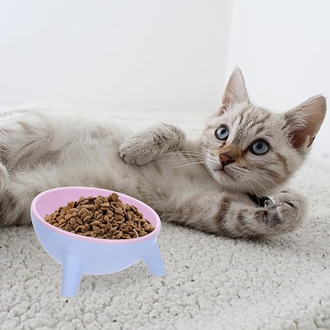 VICASKY Stable Double Pet Bowl Raised Cat Feeder with Anti-Slip Plastic Bowls 15° Tilted Design for Indoor Cats and Dogs, Spill-Resistant Feeding and Watering Station in Cherry Blossom