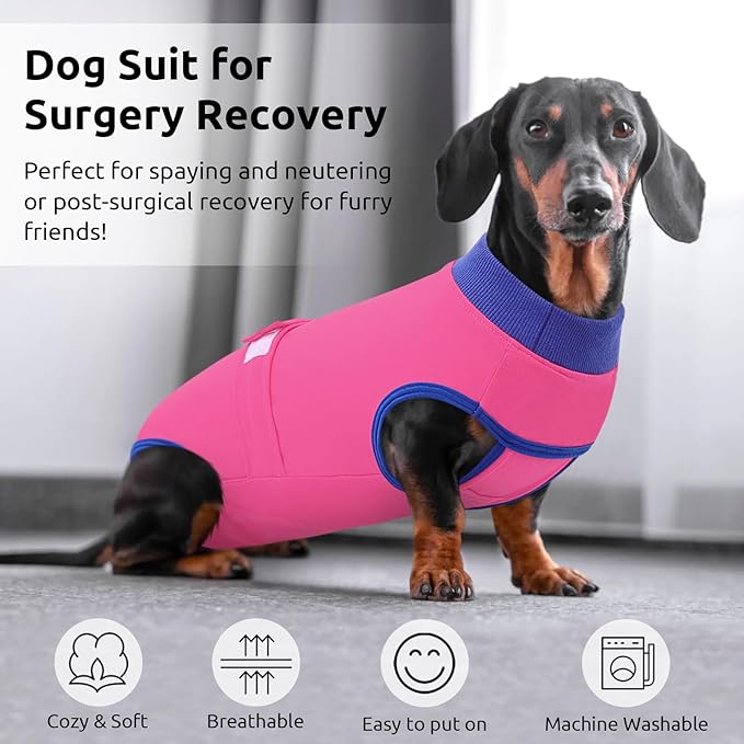 Queenmore Recovery Suit for Dogs Cats After Surgery,Dog Surgical Recovery Suit Onesie,Anti Licking Pet Female Spayed Neutered Puppy Surgical Clothes for Abdominal Wounds, Substitute E-Collar & Cone