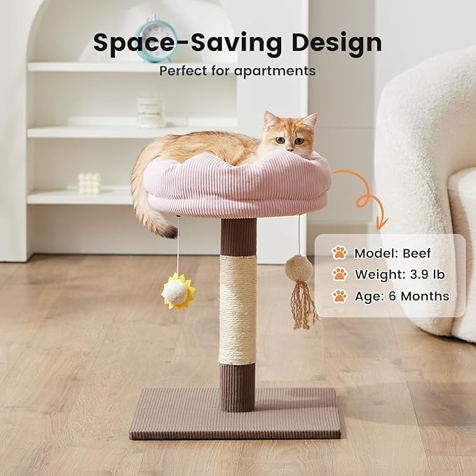 Gardner Pet 20" Cat Tree Corduroy, Solid Wood Small Cat Tree, Compact Cat Tower Perch for Kittens & Indoor Cats(Brown, Circle-Corduroy)