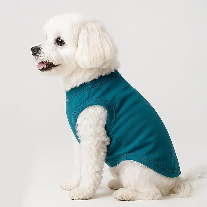 2 Pieces Dog Clothes for Small Dogs Girl Boy Spring Summer Puppy Soft Dog Shirt Solid Color Chihuahua Clothes Pet Clothing Cute Cat Cloth XXS~M (Cyan,Dark Green, Small)