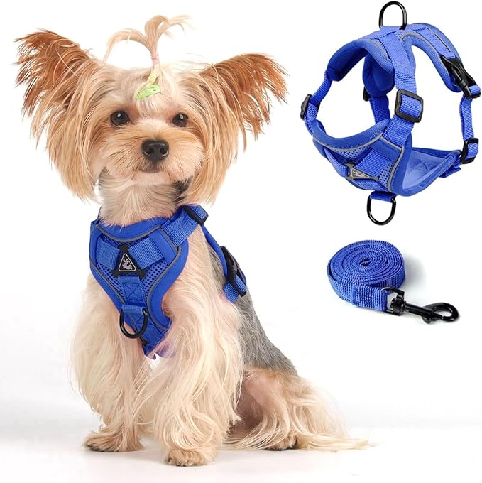 Cat Harness and Leash Set, Upgraded Escape Proof Adjustable Vest with Lead for Kitten Puppy Outdoor Walking, Soft Breathable Mesh Jacket with Reflective Strips for Dark Night (M, Klein Blue)