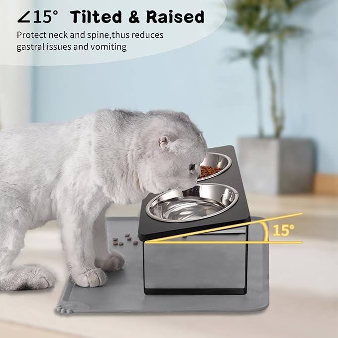 2Pack Elevated Cat Bowls with Food Mat,15°Tilted Stand Anti Vomiting Raised Cat Dishes for Food and Water,2 Stainless Steel Bowls for Cats and Puppy,Black