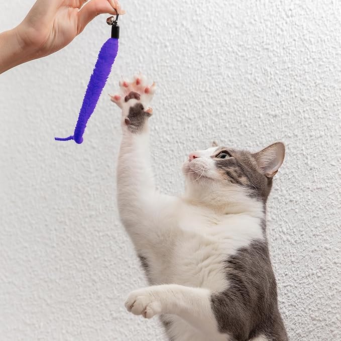 Cat Worm Toy, 12 PCS Cat Wand Toy Accessories Including Worm & Snake Refills Set, 2PCS Replacement String for Cats Fishing Pole Toys, Assorted Feather Toys Attachments Teaser for Indoor Cats Kitten