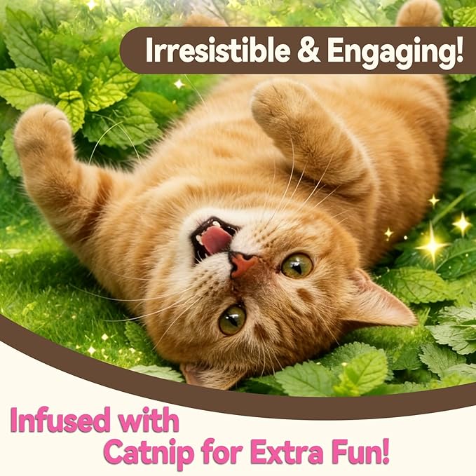 Catnip Cat Treats, Chicken & Salmon Flavor Crunchy Cat Biscuits, Fish-Shaped Training Snacks for Adult Cats, 16 oz