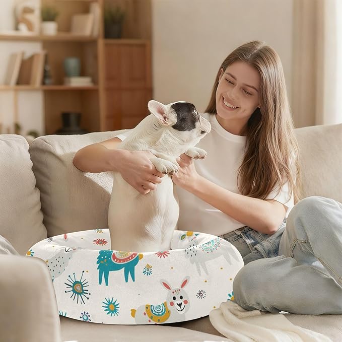 Bohemian Pet Beds for Cats and Cats Flame Design Teal for Medium Sized Pets Sleeping Beds and Dog Furniture