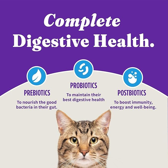 Halo Holistic Cat Food Wild Caught Whitefish Formula, Healthy Grains Dry Cat Food, For Sensitive Stomach Support, Kibble for Adult Cats, 10 lb Bag