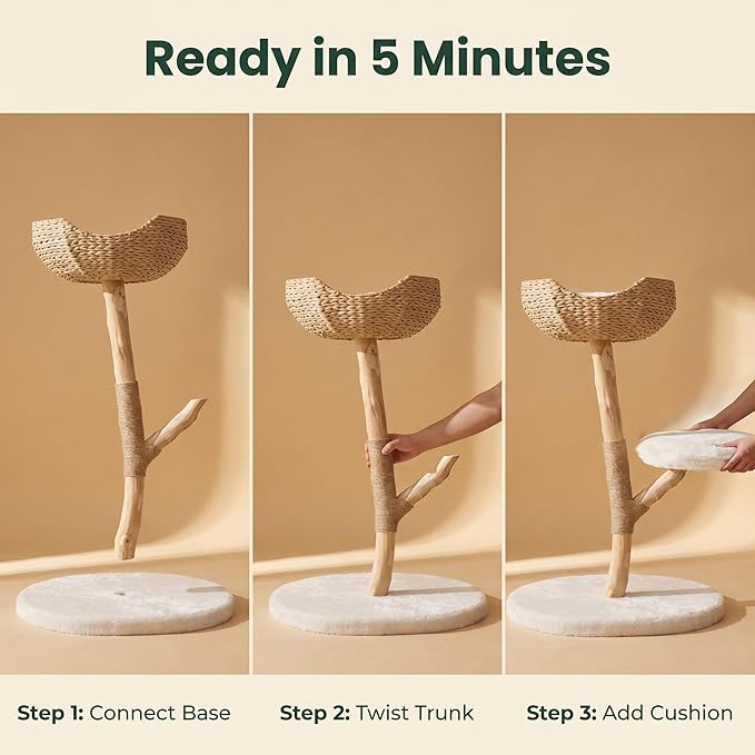 Modern Cat Tree, Natural Pear Wooden Cat Tower for Indoor Cats, Real Branch Luxury Cat Condo with Scratching Post & Hanging Toy Ball（35" Tall）