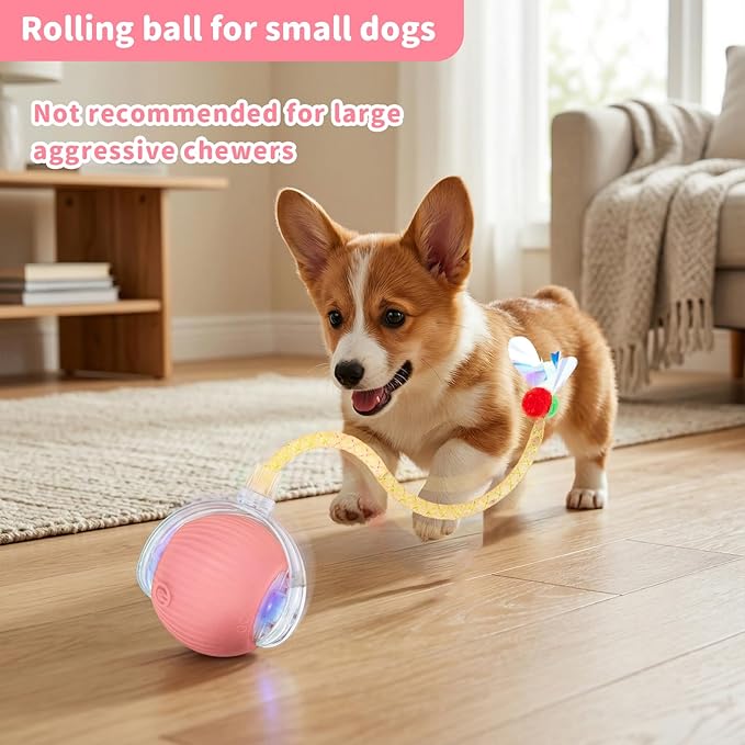 Interactive Cat Toys for Indoor Cats Smart Automatic Ball Rolling for Bored Kitten Pet Upgraded Speedy Moving Chase Dogs Toy Mothers Day Gifts Pink Dragonfly