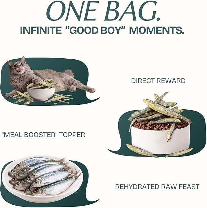 Freeze Dried Minnows Cat & Dog Treats for Training, Healthy High Protein Limited Single Ingredient Pet Food Snacks for Small, Medium, and Large Dogs Cats (Raw Minnows, 8oz)