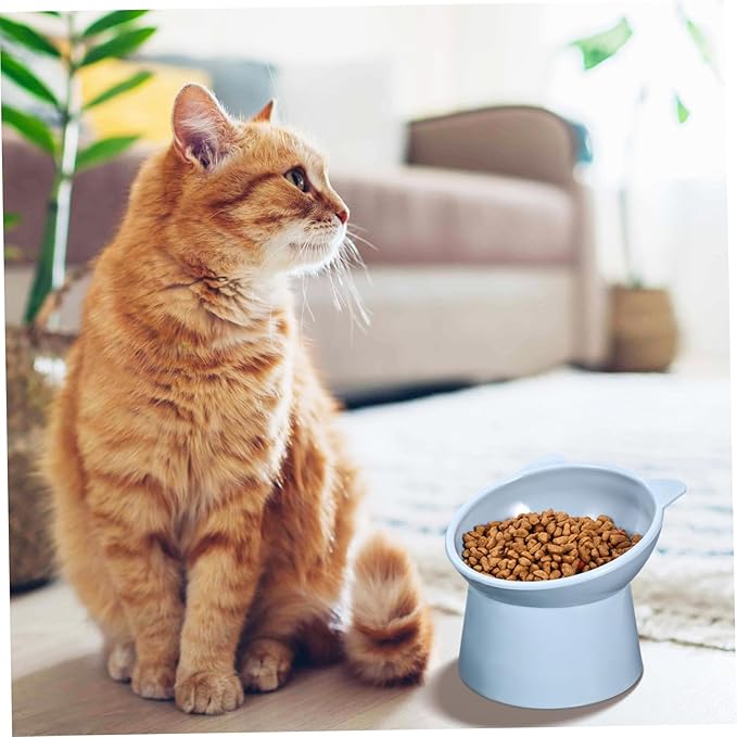ORFOFE 3pcs Elevated Cat Bowl Raised Cat Food Bowls Slow Feeder for Pet Feeding Watering Supplies