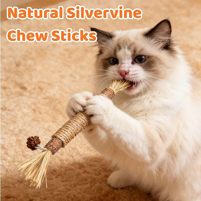 Catnip Toys for Indoor Cats, Interactive Cat Toys with Catnip, Chew Kicker, Cat Chew Toy for Adult Cats & Kitten (6 Pack)