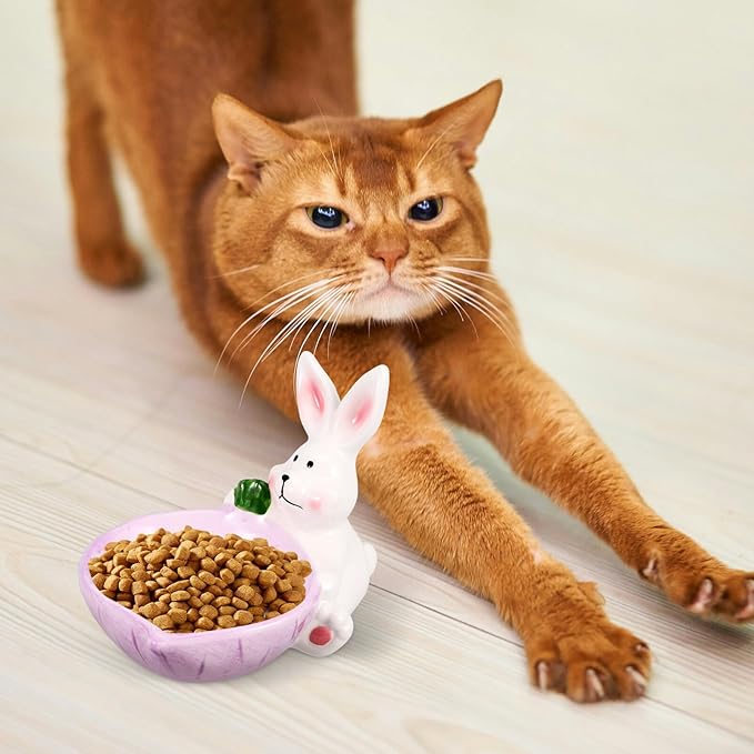 Ceramic Cat Bowl and Dog Feeding Dish, Purple Non-tip Wear-Resistant Pet Floor Bowl, Cute Bunny Design for Indoor Feeding and Watering Supplies