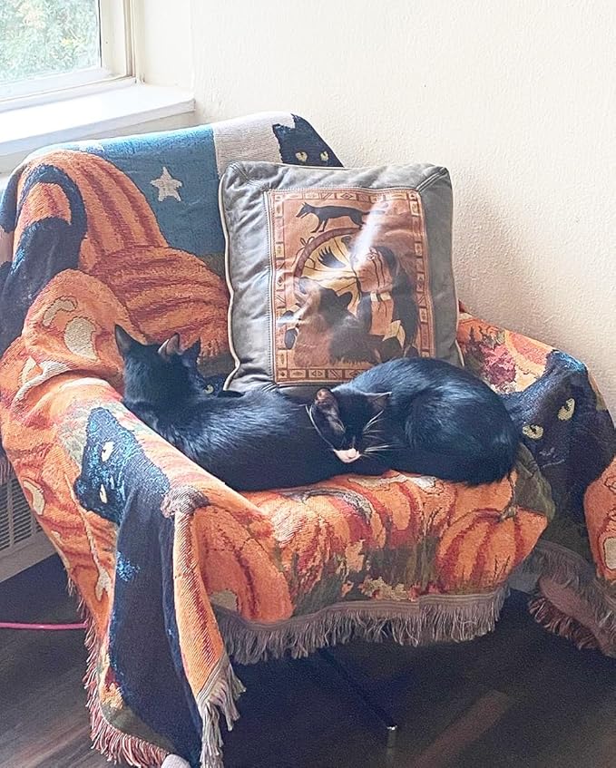 Halloween Blanket Black Cat Pumpkin Fall Couch Covers -Pet Blankets,Halloween Throw Blankets for Knitted Cat Lover Gift