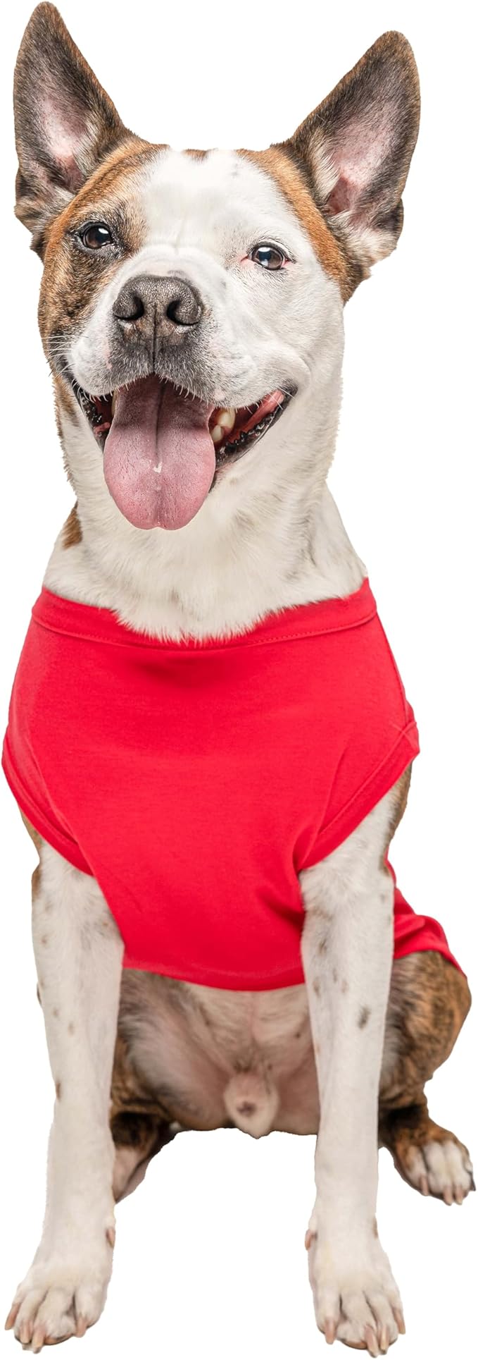 Dad’s Beer Buddy Father's Day Dog Tee Shirt | Sleeveless | Funny Beer Lovers | Brewery Bar | Drinking Parade Event Party (Red, Small 761)