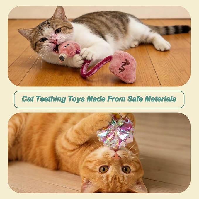 Interactive Cat Toys Set, Silvervine Chew Sticks and Catnip Spring Ropes, Indoor Cat Toys for Exercise and Dental Care, for All Cat Breeds (5 Pack)