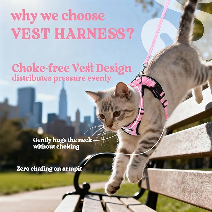 rabbitgoo Cat Harness and Leash for Walking, Escape Proof Soft Adjustable Vest Harnesses for Cats, Easy Control Breathable Reflective Strips Jacket, Pink, XXS