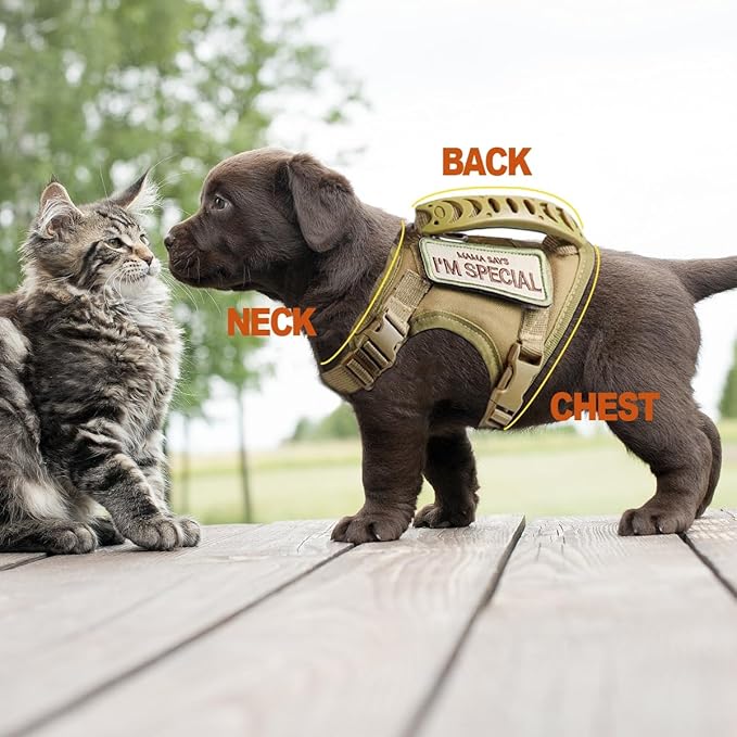 AIWAI Tactical Cat Harness for Walking Escape Proof, Adjustable Pet Vest Harness, Soft Mesh with Control Handle for Large Cat Small Dog, Gift with Patch (Camouflage, cat Harness only)