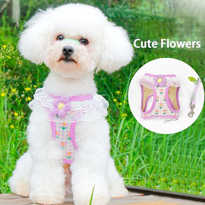 Cat Harness Collar and Leash Set, Sweet Lace Floral Kitten Collar, Escape Proof Puppy Chest Harness, Adjustable Cute Harness Leash Set for Cat Puppy Dog Outdoor Walking (Purple, M)