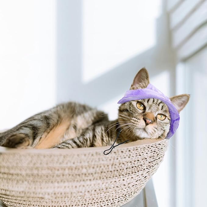Pet Hat with Ear Holes Sunscreen Cap, Adjustable String Dog Cat Summer Sun Hat,Cat Dog Bucket Hat for Birthday Party Costume Decoration Outdoor Hiking (Purple, Large)