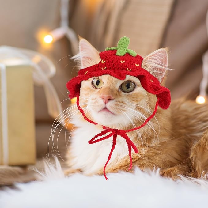 2pcs Frog and Strawberry Cat Hat, Cotton & Soft Cute Knitted Hats for Cats, Christmas Halloween Holiday Party Clothes Birthday Party Puppy Hat for Small Pets