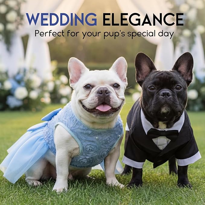 ASENKU Dog Dress Pet Wedding Dress Princess Lace Puppy Birthday Party Outfit Formal Apparel Girl for Small Medium Dogs Cats (XL, Blue)