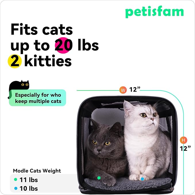 Soft Pet Carrier Bag for Cats and Puppy Under 20 lbs. Sturdy, Safe, Comfortable and Lightweight