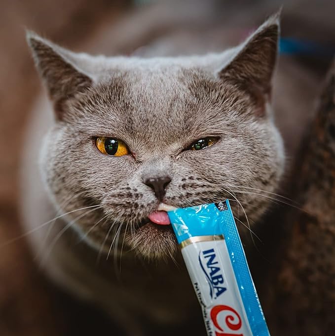 INABA Churu Cat Treats, Grain-Free, Lickable, Squeezable Creamy Purée Cat Treat/Topper with Vitamin E & Taurine, 0.5 Ounces Each Tube, 48 Tubes (4 per Pack), Chicken Recipe