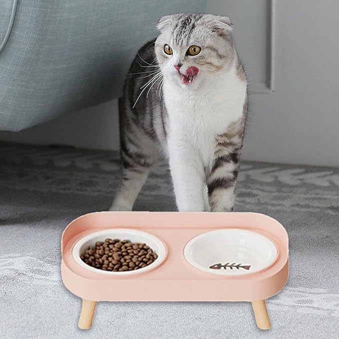 Elevated Double Bowl Ceramic Pet Food Bowls Nonslip Base Feeding Watering Dishes for Dog Cats Scratch Design Scratch Ceramic Pet Bowl