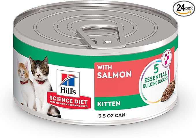 Hill's Science Diet Kitten Wet Cat Food, Salmon, 5.5 oz. Cans, 24-Pack