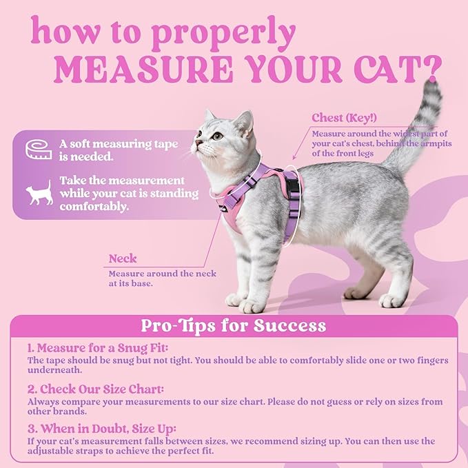 rabbitgoo Cat Harness and Leash for Walking, Escape Proof Soft Adjustable Vest Harnesses for Cats, Easy Control Breathable Reflective Strips Jacket, Pink & Purple, XS
