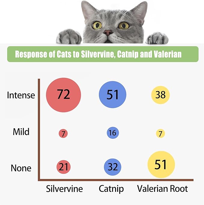10 Pack Silvervine Powder Packets for Cat Toys,Organic Gall Fruit Powder(Matatabi),Refillable Catnip Toys Biodegradable, Non-GMO, Chemical-Free Refill Packs for Cats