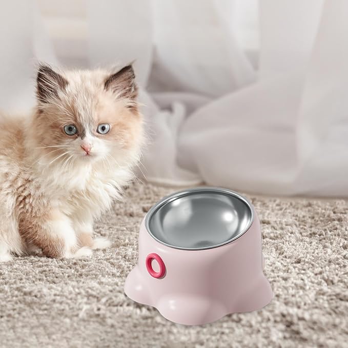 Gralara Tilted Cat Feeder Bowl, Feeding Dish Home Indoor Watering Versatile Food Dispenser, Removable Stainless Steel Bowl for Puppy, Pink