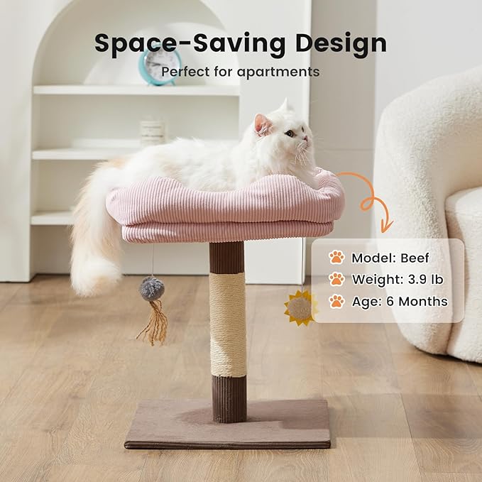 Gardner Pet 20" Cat Tree Corduroy, Solid Wood Small Cat Tree for Kittens & Indoor Cats (Brown, Square-Corduroy)